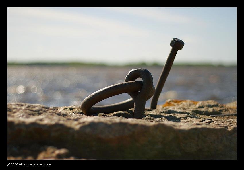  - Майское Дерево   - Александр Хоменко, Фотограф - Alexander Khomenko 