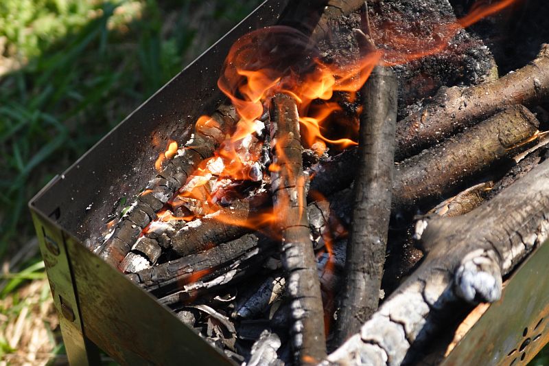  - BBQ   - Александр Хоменко, Фотограф - Alexander Khomenko 
