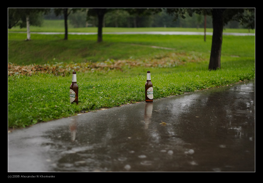  - Дождь   - Александр Хоменко, Фотограф - Alexander Khomenko 