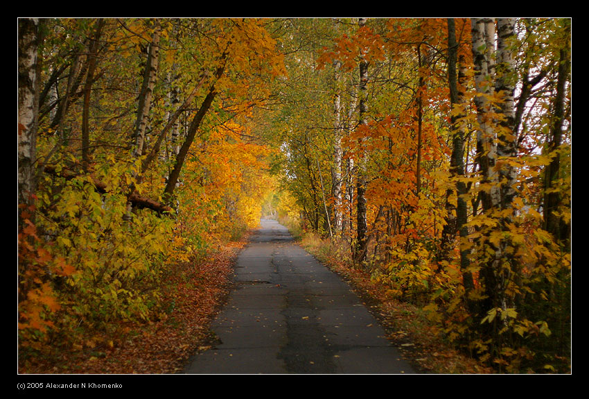  - Старое   - Александр Хоменко, Фотограф - Alexander Khomenko 