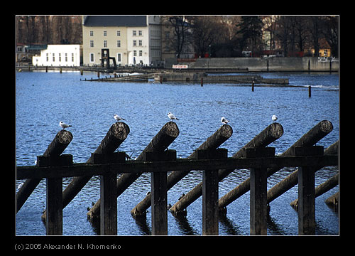  - Старое   - Александр Хоменко, Фотограф - Alexander Khomenko 