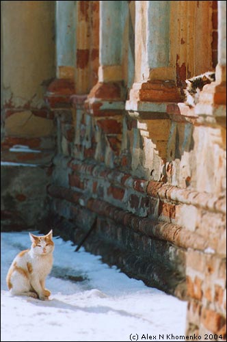  - Старое   - Александр Хоменко, Фотограф - Alexander Khomenko 