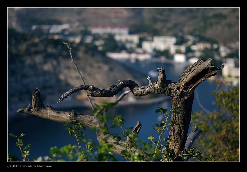  - Крым   - Александр Хоменко, Фотограф - Alexander Khomenko 