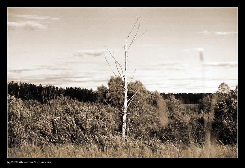  - Физтех   - Александр Хоменко, Фотограф - Alexander Khomenko 