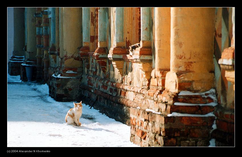  - Ростов Великий   - Александр Хоменко, Фотограф - Alexander Khomenko 