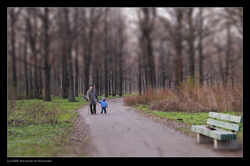  - Ботанический   - Александр Хоменко, Фотограф - Alexander Khomenko 