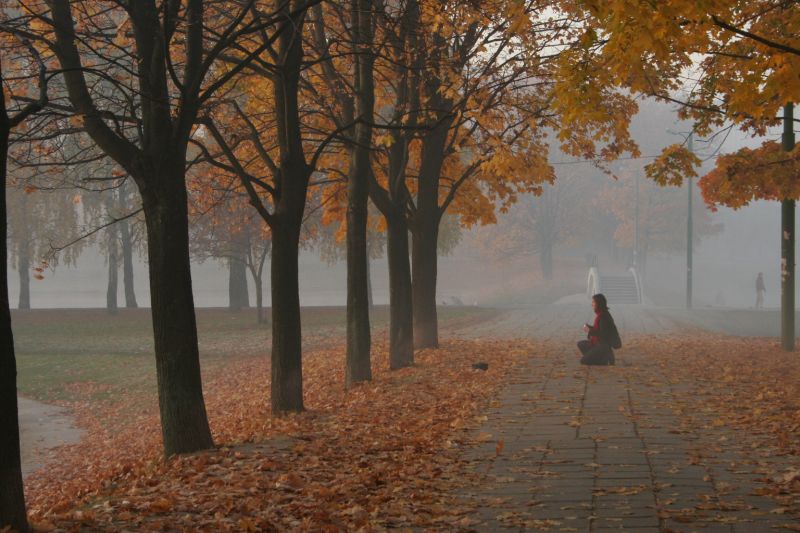  - Туман   - Александр Хоменко, Фотограф - Alexander Khomenko 