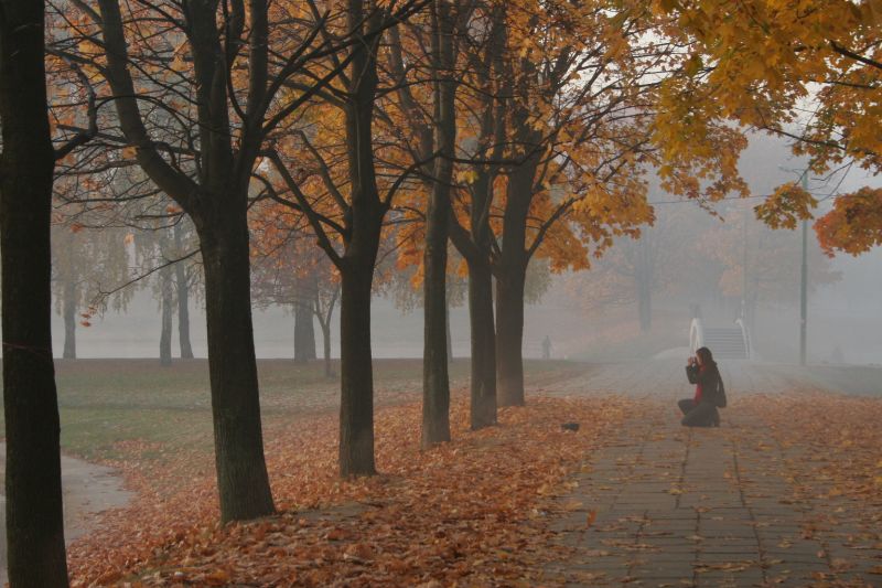  - Туман   - Александр Хоменко, Фотограф - Alexander Khomenko 