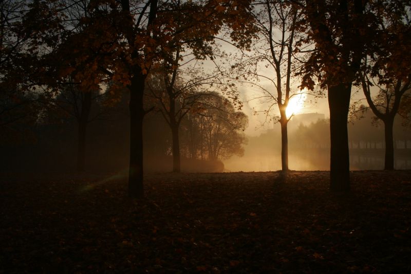  - Туман   - Александр Хоменко, Фотограф - Alexander Khomenko 