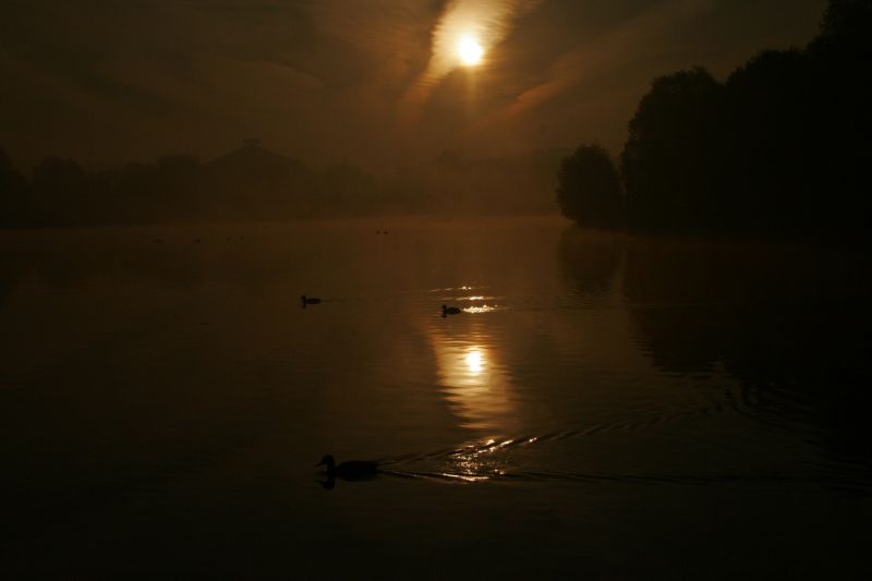  - Туман   - Александр Хоменко, Фотограф - Alexander Khomenko 