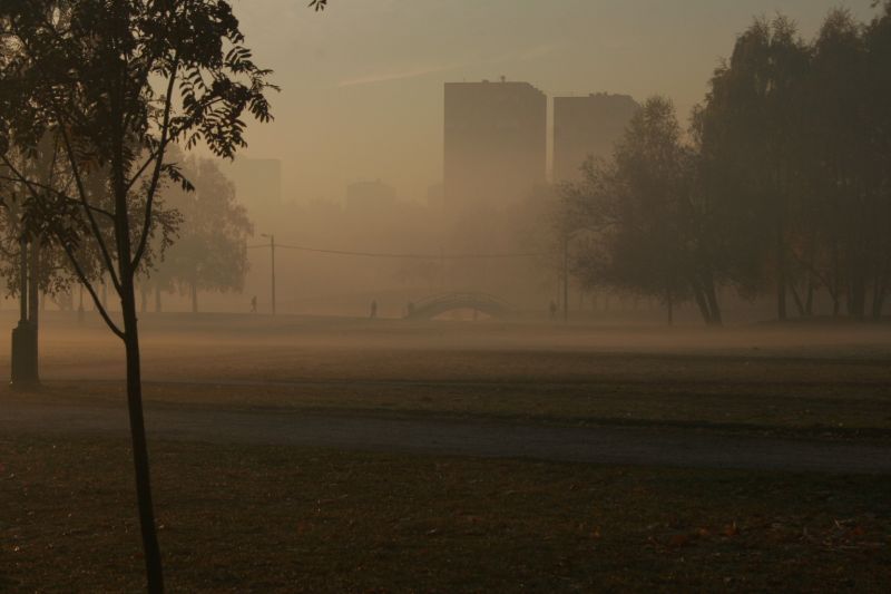  - Туман   - Александр Хоменко, Фотограф - Alexander Khomenko 