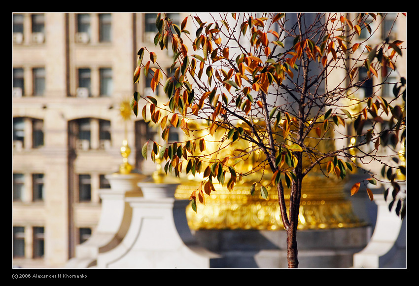  - Киев   - Александр Хоменко, Фотограф - Alexander Khomenko 