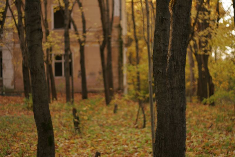  - пл. Санаторная   - Александр Хоменко, Фотограф - Alexander Khomenko 