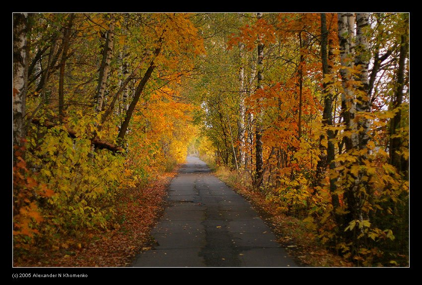  - пл. Санаторная   - Александр Хоменко, Фотограф - Alexander Khomenko 