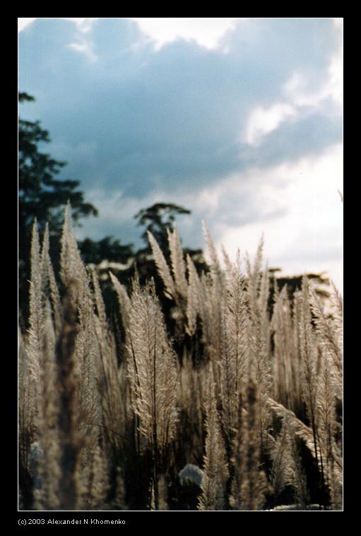  - Непал   - Александр Хоменко, Фотограф - Alexander Khomenko 