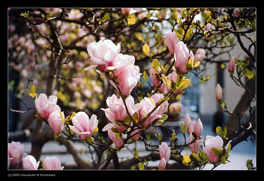  - Евротрип - 2003   - Александр Хоменко, Фотограф - Alexander Khomenko 