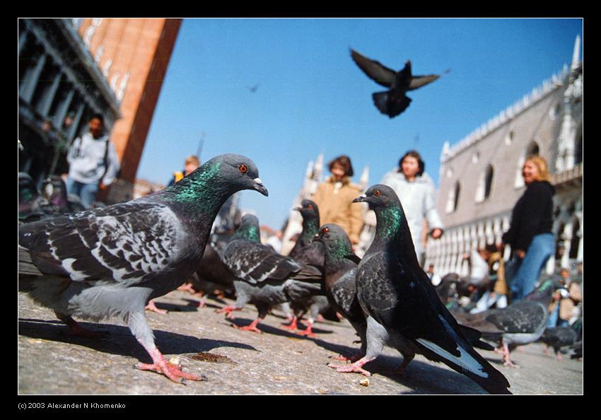  - Евротрип - 2003   - Александр Хоменко, Фотограф - Alexander Khomenko 