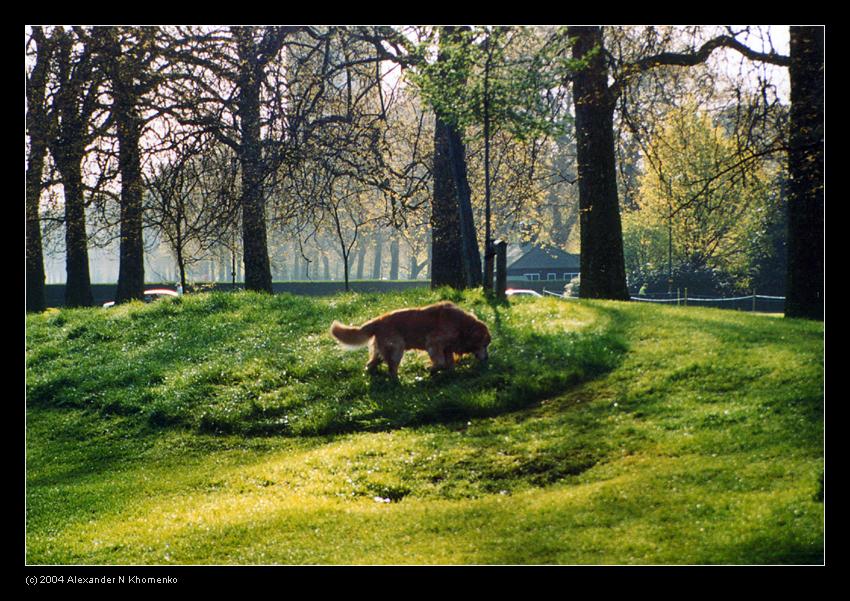  - Англия - 2004   - Александр Хоменко, Фотограф - Alexander Khomenko 