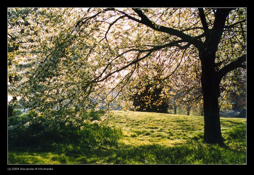  - Англия - 2004   - Александр Хоменко, Фотограф - Alexander Khomenko 