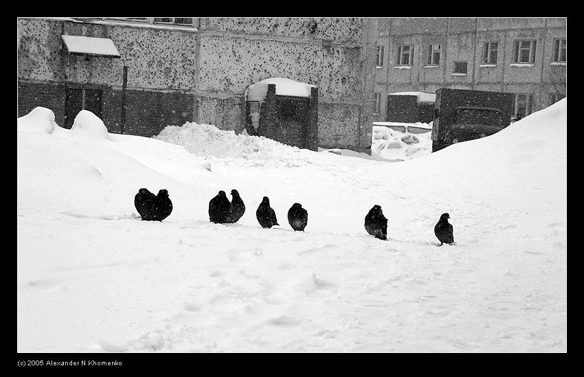  - Кировск   - Александр Хоменко, Фотограф - Alexander Khomenko 