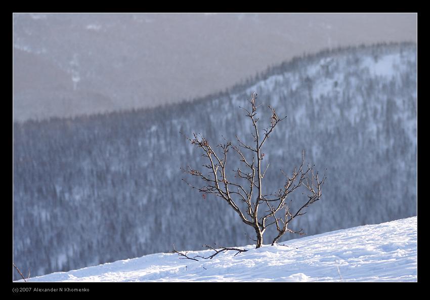  - Шерегеш - 2007   - Александр Хоменко, Фотограф - Alexander Khomenko 