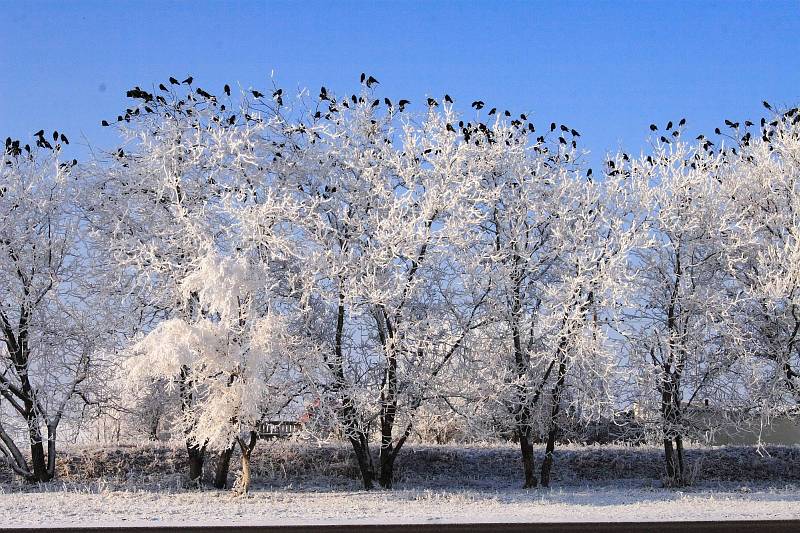  - Эльбрус - 2007   - Александр Хоменко, Фотограф - Alexander Khomenko 