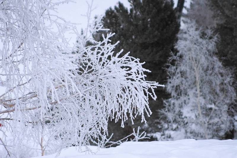  - Эльбрус - 2007   - Александр Хоменко, Фотограф - Alexander Khomenko 