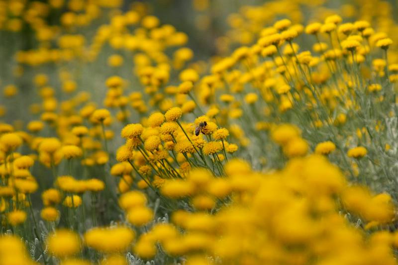  - Крым - 2008   - Александр Хоменко, Фотограф - Alexander Khomenko 