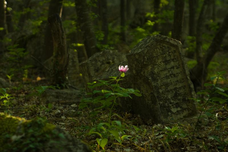  - Крым - 2013   - Александр Хоменко, Фотограф - Alexander Khomenko 