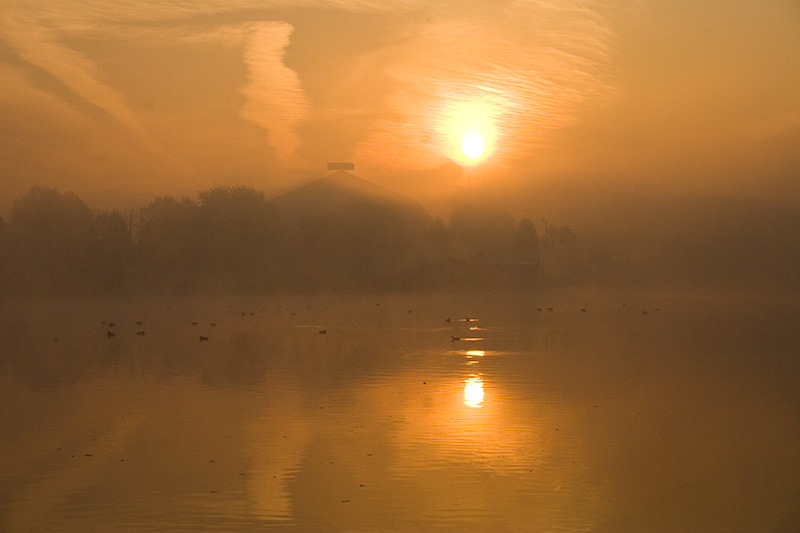  - Разное   - Александр Хоменко, Фотограф - Alexander Khomenko 